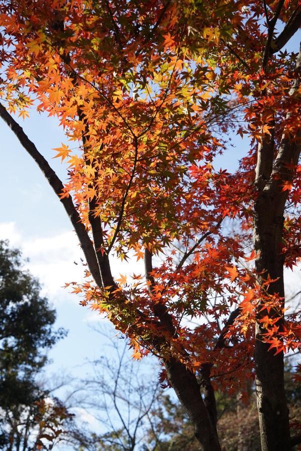 Japaning Senkyu Villa Kyoto Bagian luar foto